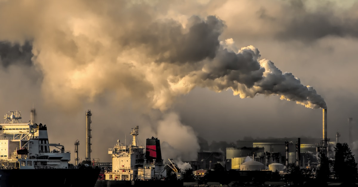 Oil Price Crash 2026: What It Means for UAE Businesses and Expats